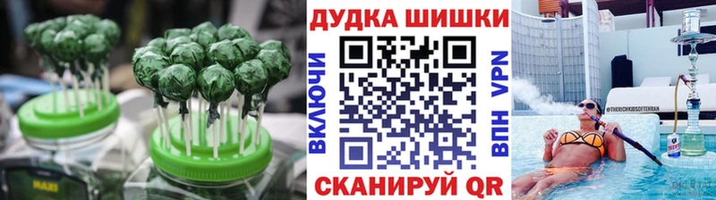 Купить закладки  Шелехов  Canna-Cookies марихуана 