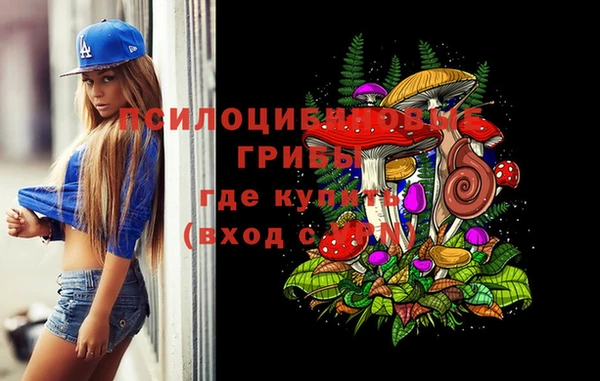 бошки Нефтекумск