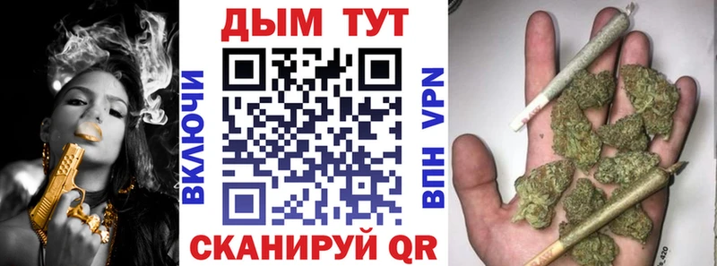 Марихуана семена  Купить закладки  Шелехов 